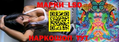 гашик Кимры
