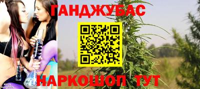 гашик Кимры