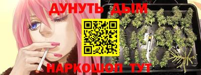 альфа пвп Кингисепп