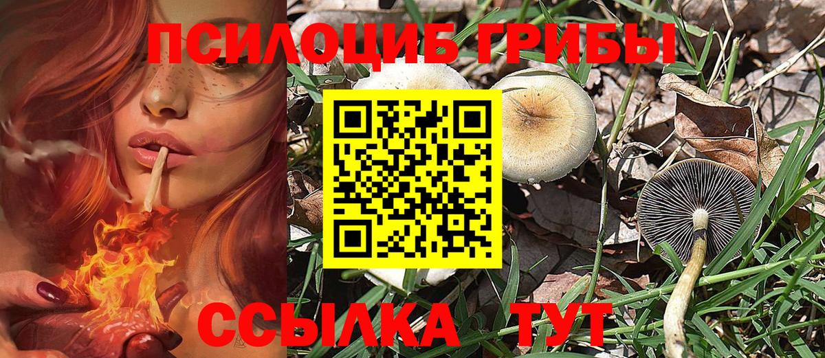 Галлюциногенные грибы мухоморы  Вход с VPN  Вятские Поляны  Галлюциногенные грибы мухоморы 